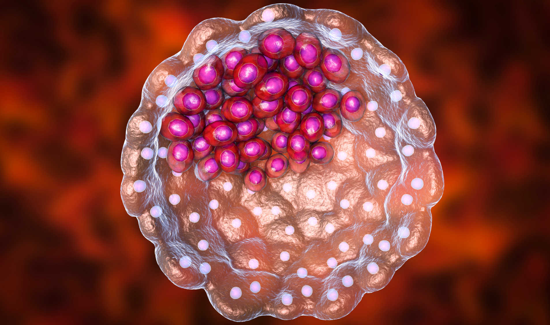 Transfer a blastocisti: si può migliorare il suo attecchimento in utero?