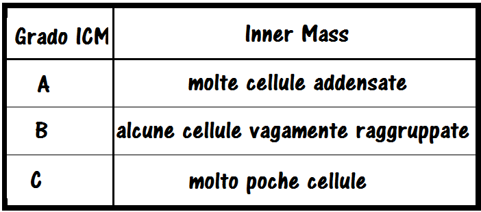 Test Gravidanza Dopo Transfer Blastocisti Congelate